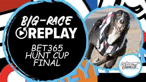 bet365 greyhound commentary - Watch Live Greyhounds 